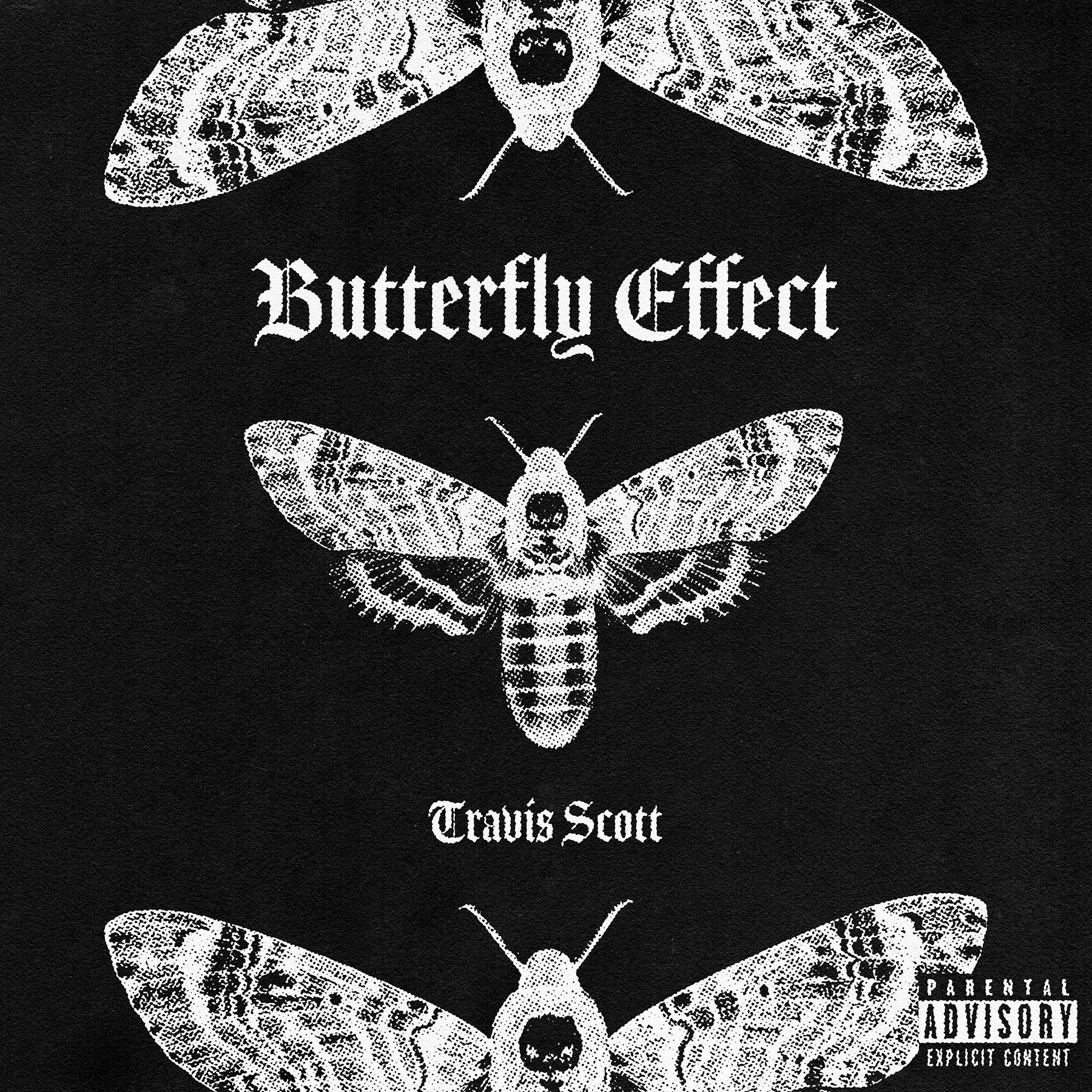 butterfly_copy