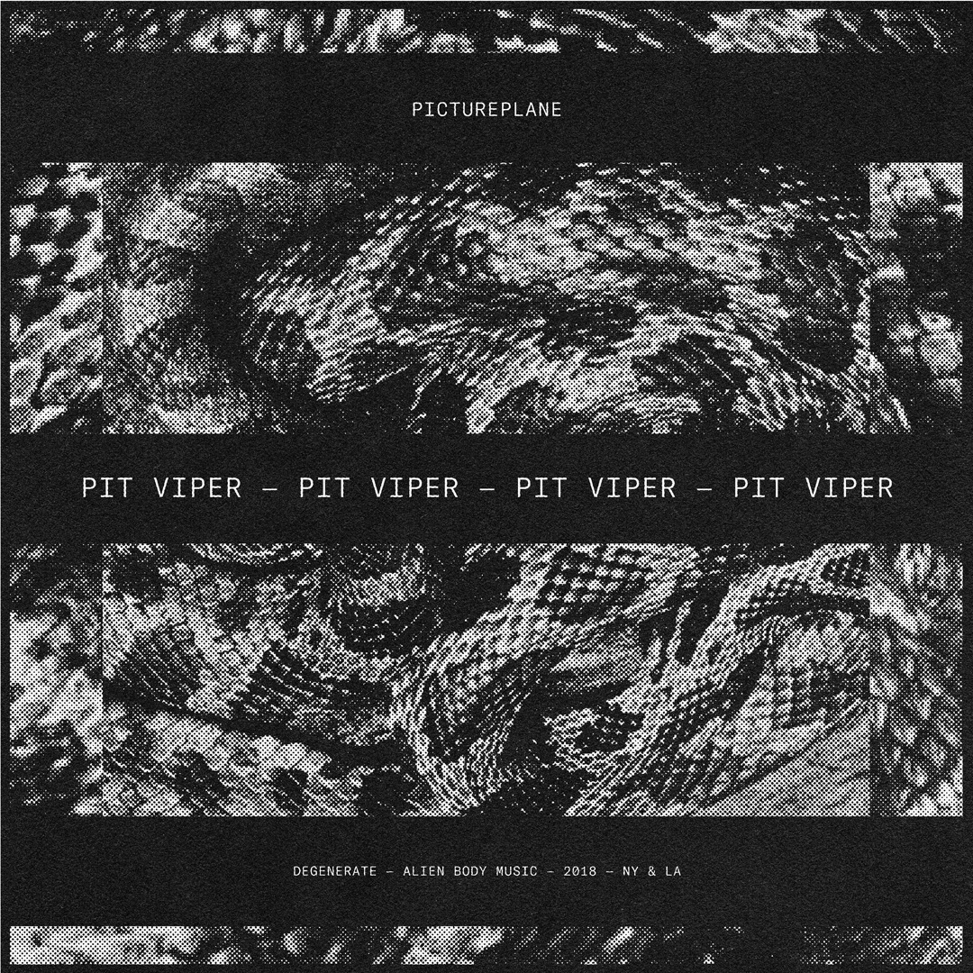 picture_plane_pit_viper